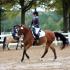 Lendon Grayâ€™s Dressage4Kids Atlanta Youth Festival